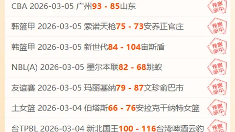 刘邵子洋中国门将首秀，SV霍恩1-0战胜维也纳快速二队